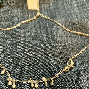 Kendra Scott Mollie Choker Necklace Silver Seed Pearls Brand New